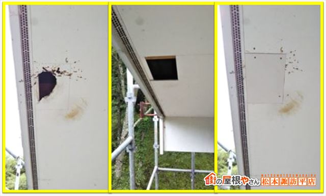 原村別荘屋根壁塗装　キツツキ被害